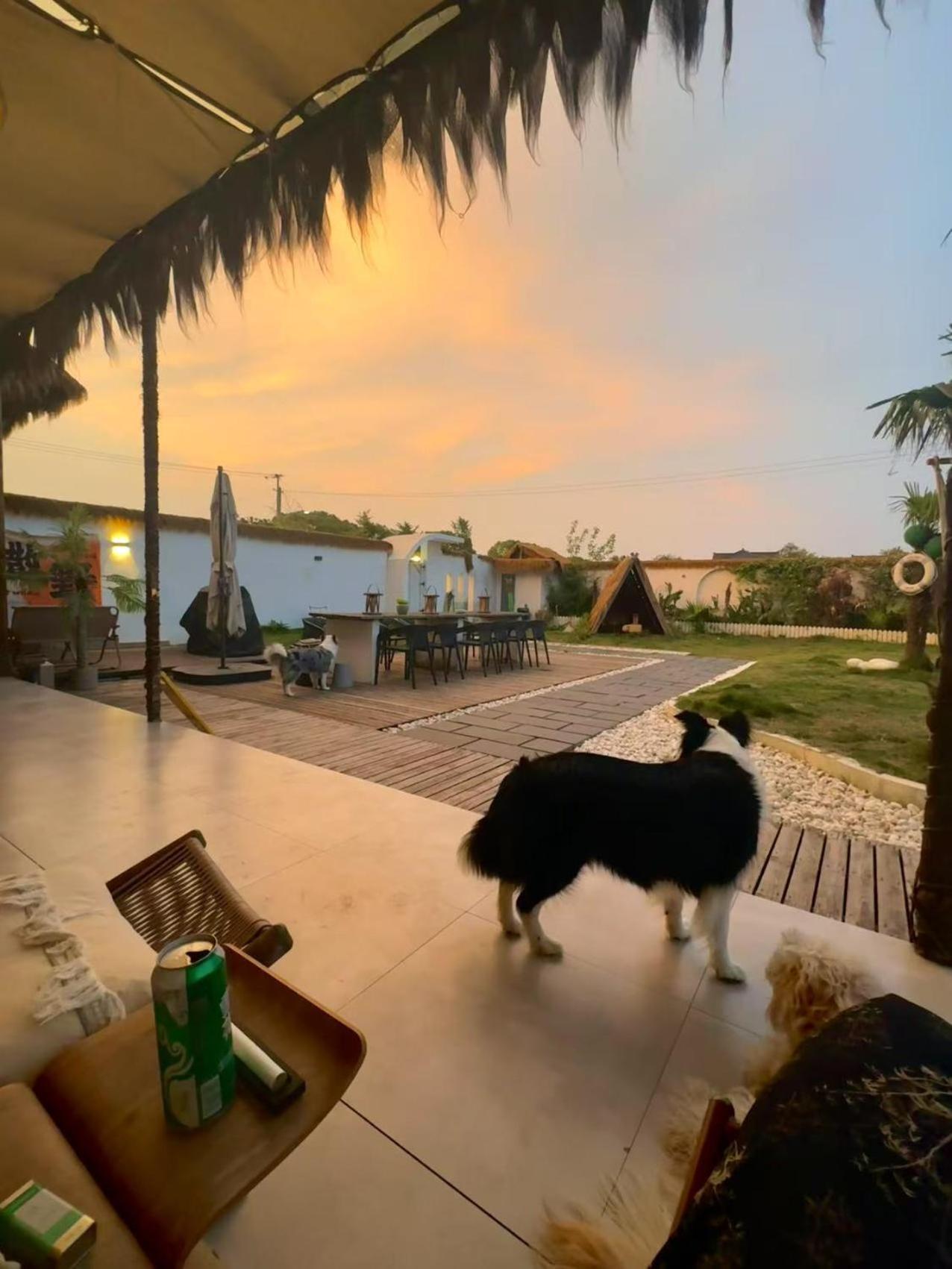 Left Bank La Vie Pool Homestay